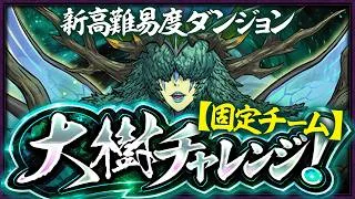 【生放送】新称号固定チーム「大樹」チャレンジ！！！！