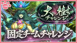 【パズドラ】「大樹」チャレンジ【固定チーム】開催！初見攻略する！【雑談】