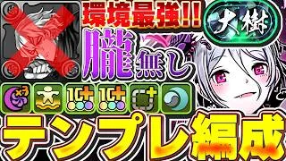 朧無くても全然最強！！モルガンの朧なしのテンプレ編成紹介！！【大樹攻略】【パズドラ実況】＃パズドラ