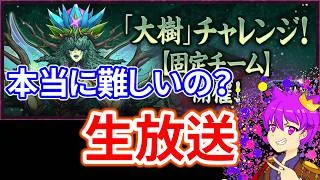 固定チームの大樹チャレンジ難しいらしいからやってみる！【パズドラ】