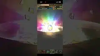 トランプキングダムフェスガチャ10連　#パズル　#パズドラ　#ガチャ　#無料　#報酬　#トランプ　#キングダム　#夏休み　#イベント