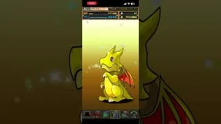 トランプキングダムフェス10連(累計20連) #パズドラガチャ