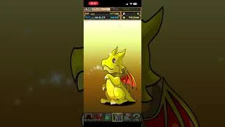 トランプキングダムフェス10連(累計30連) #パズドラガチャ