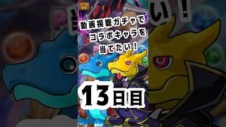 動画視聴ガチャでコラボキャラを当てたい！13日目　#パズドラ #コードギアス  #コラボ