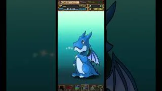 コードギアスコラボキャラが出るまで終われない無料動画広告視聴ガチャ【14日目】#パズドラ
