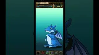 【パズドラ】デイトナかシーウルフ出るまで毎日動画視聴ガチャ1562日目！2026/8/5 #パズドラ #shorts