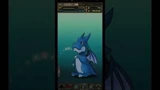 【パズドラ】デイトナかシーウルフ出るまで毎日動画視聴ガチャ1567日目！2026/8/10 #パズドラ #shorts