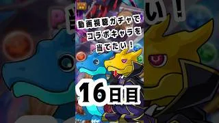 動画視聴ガチャでコラボキャラを当てたい！16日目　#パズドラ #コードギアス  #コラボ