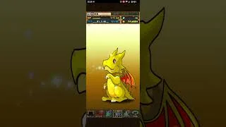 【パズドラ】 トランプキングダムフェス 20連 引いていく！ #パズルアンドドラゴンズ #パズドラ