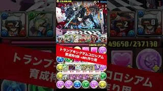 【育成枠3体】トランプキングダムコロシアム【#パズドラ/パズル&ドラゴンズ】 #+891作り #銀時