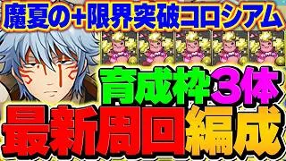 【最強編成】育成枠3で全ずらし周回！4分台銀時編成！火属性の魔夏コロシアム【パズドラ】