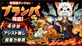 【アシスト無し4分台】超重力無視‼️ブランパ降臨 アシスト無効 周回編成・立ち回り紹介！！【#パズドラ/パズル&ドラゴンズ】