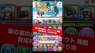 【育成枠4体】海の家の店主・ガイノウト 降臨 【#パズドラ/パズル&ドラゴンズ】 #+891作り #銀時 #夏休み