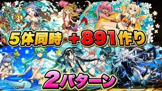 【余りもの】5体同時+891作り‼️魔夏の+限界突破コロシアム 周回編成・立ち回り紹介!!【#パズドラ/パズル&ドラゴンズ】