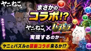【新コラボ予想】8月22日に発表されるコラボはヤニねこ！？【パズドラ】