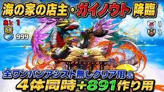 【クリア用＆+891作り用】育成枠4体‼️ 海の家の店主・ガイノウト 降臨 周回編成・立ち回り紹介！！【#パズドラ/パズル&ドラゴンズ】