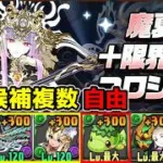 【木属性】自由育成枠あり！魔夏の限界突破コロシアムVV編成【パズドラ】