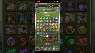 【パズドラ】【概要欄も是非】今日もツリットの釣りパラダイスをやる！！＃shorts＃パズドラ＃ツリットの釣りパラダイス