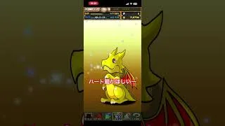 #パズドラ #ガチャ動画 #トランプキングダム