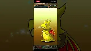 パズドラ トランプキングダムフェス