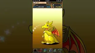 パズドラ　トランプ　ガチャ