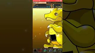 パズドラ　トランプ　ガチャ