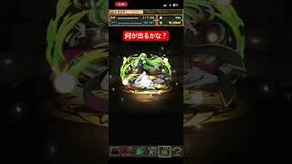 パズドラ　#コードギアスコラボ #パズドラ