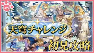 【パズドラ】新称号「天穹」チャレンジ開催！推しキャラで初見攻略！【雑談】