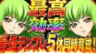 【超絶忖度】環境最強育成編成が適正すぎた魔夏の限界突破コロシアム【パズドラ】