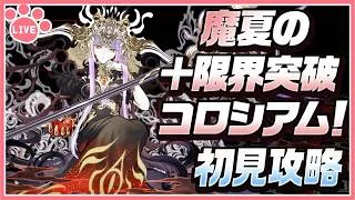 【パズドラ】魔夏の＋限界突破コロシアムを初見攻略！【雑談】