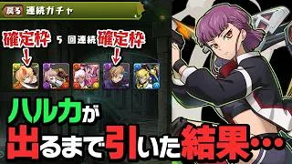 ハルカが出るまでコードギアスガチャ引いたら何故かコンプした【パズドラ】