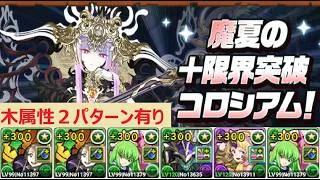 【パズドラ】真夏の限界突破コロシアム(木属性のみ)～２パターン紹介～