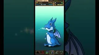 コードギアスコラボキャラが出るまで終われない無料動画広告視聴ガチャ【最終日!!】#パズドラ