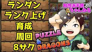 ランダン＆８月クエスト＆トランプイベント【#パズドラ #縦型配信】